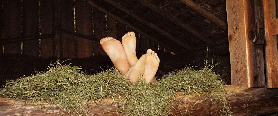 Landgasthof Kirchmayer ファルハント エクステリア 写真