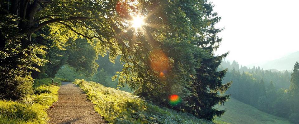 Landgasthof Kirchmayer ファルハント エクステリア 写真