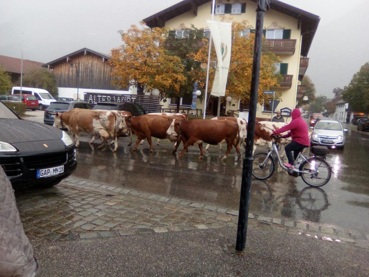 Landgasthof Kirchmayer ファルハント エクステリア 写真