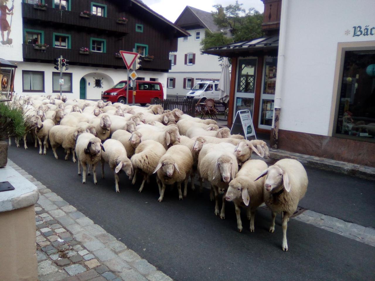 Landgasthof Kirchmayer ファルハント エクステリア 写真